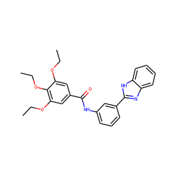CCOc1cc(C(=O)Nc2cccc(-c3nc4ccccc4[nH]3)c2)cc(OCC)c1OCC ZINC000009404848