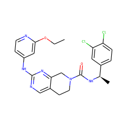 CCOc1cc(Nc2ncc3c(n2)CN(C(=O)N[C@H](C)c2ccc(Cl)c(Cl)c2)CC3)ccn1 ZINC000202124046
