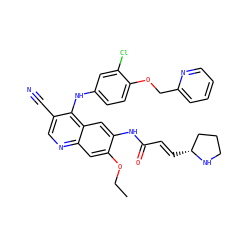 CCOc1cc2ncc(C#N)c(Nc3ccc(OCc4ccccn4)c(Cl)c3)c2cc1NC(=O)/C=C/[C@@H]1CCCN1 ZINC000144117036
