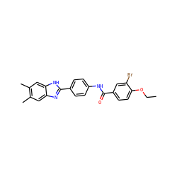 CCOc1ccc(C(=O)Nc2ccc(-c3nc4cc(C)c(C)cc4[nH]3)cc2)cc1Br ZINC000028563540