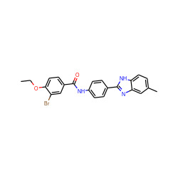 CCOc1ccc(C(=O)Nc2ccc(-c3nc4cc(C)ccc4[nH]3)cc2)cc1Br ZINC000028563130
