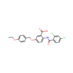 CCOc1ccc(COc2ccc(NC(=O)c3ccc(Cl)cc3Cl)c(C(=O)O)c2)cc1 ZINC000012358146