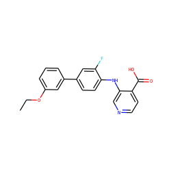 CCOc1cccc(-c2ccc(Nc3cnccc3C(=O)O)c(F)c2)c1 ZINC000103278716