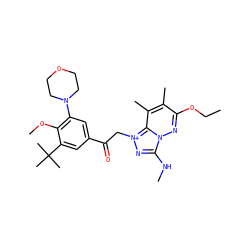CCOc1nn2c(NC)n[n+](CC(=O)c3cc(N4CCOCC4)c(OC)c(C(C)(C)C)c3)c2c(C)c1C ZINC000115449608