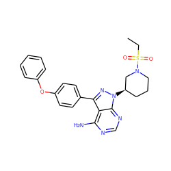 CCS(=O)(=O)N1CCC[C@@H](n2nc(-c3ccc(Oc4ccccc4)cc3)c3c(N)ncnc32)C1 ZINC000653785906