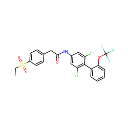 CCS(=O)(=O)c1ccc(CC(=O)Nc2cc(Cl)c(-c3ccccc3OC(F)(F)F)c(Cl)c2)cc1 ZINC000143139995