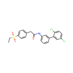 CCS(=O)(=O)c1ccc(CC(=O)Nc2cccc(-c3cc(Cl)ccc3Cl)c2)cc1 ZINC000143106045