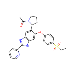 CCS(=O)(=O)c1ccc(Oc2cc3[nH]c(-c4ccccn4)nc3cc2[C@H]2CCCN2C(C)=O)cc1 ZINC000043018628