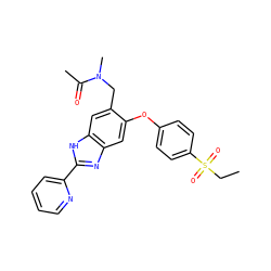 CCS(=O)(=O)c1ccc(Oc2cc3nc(-c4ccccn4)[nH]c3cc2CN(C)C(C)=O)cc1 ZINC000035921525