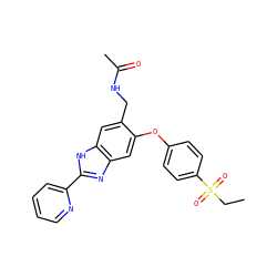 CCS(=O)(=O)c1ccc(Oc2cc3nc(-c4ccccn4)[nH]c3cc2CNC(C)=O)cc1 ZINC000045388315