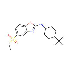 CCS(=O)(=O)c1ccc2oc(NC3CCC(C(C)(C)C)CC3)nc2c1 ZINC000073313160