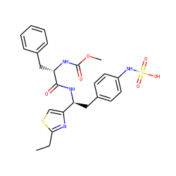 CCc1nc([C@H](Cc2ccc(NS(=O)(=O)O)cc2)NC(=O)[C@H](Cc2ccccc2)NC(=O)OC)cs1 ZINC000113897701