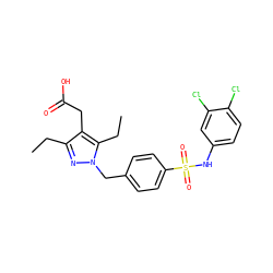 CCc1nn(Cc2ccc(S(=O)(=O)Nc3ccc(Cl)c(Cl)c3)cc2)c(CC)c1CC(=O)O ZINC000169704031