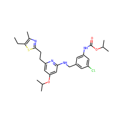 CCc1sc(CCc2cc(OC(C)C)cc(NCc3cc(Cl)cc(NC(=O)OC(C)C)c3)n2)nc1C ZINC000029479032