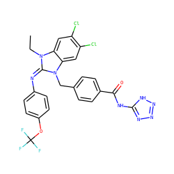 CCn1/c(=N/c2ccc(OC(F)(F)F)cc2)n(Cc2ccc(C(=O)Nc3nnn[nH]3)cc2)c2cc(Cl)c(Cl)cc21 ZINC000101455494
