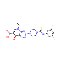 CCn1cc(C(=O)O)c(=O)c2cnc(N3CCN(C(=S)Nc4cc(Cl)cc(Cl)c4)CC3)nc21 ZINC000001127081