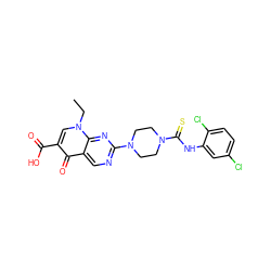 CCn1cc(C(=O)O)c(=O)c2cnc(N3CCN(C(=S)Nc4cc(Cl)ccc4Cl)CC3)nc21 ZINC000045261144