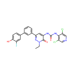 CCn1nc(-c2cccc(-c3ccc(O)c(F)c3)c2)cc(NC(=O)Nc2c(Cl)cncc2Cl)c1=O ZINC000141122032