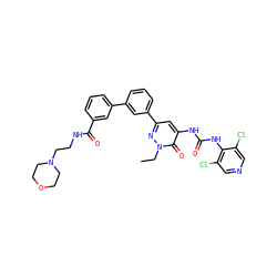 CCn1nc(-c2cccc(-c3cccc(C(=O)NCCN4CCOCC4)c3)c2)cc(NC(=O)Nc2c(Cl)cncc2Cl)c1=O ZINC000164152401