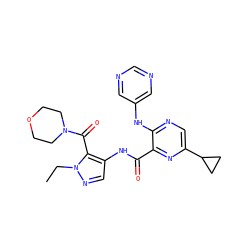 CCn1ncc(NC(=O)c2nc(C3CC3)cnc2Nc2cncnc2)c1C(=O)N1CCOCC1 ZINC000169701792