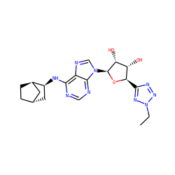CCn1nnc([C@H]2O[C@@H](n3cnc4c(N[C@H]5C[C@@H]6CC[C@@H]5C6)ncnc43)[C@H](O)[C@@H]2O)n1 ZINC000299866021