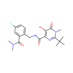 CN(C)C(=O)c1cc(F)ccc1CNC(=O)c1nc(C(C)(C)C)n(C)c(=O)c1O ZINC000029047408