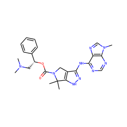 CN(C)C[C@@H](OC(=O)N1Cc2c(Nc3ncnc4c3ncn4C)n[nH]c2C1(C)C)c1ccccc1 ZINC000117598665