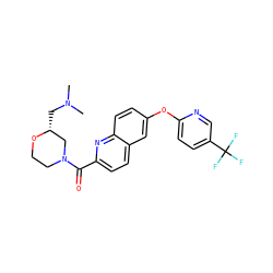 CN(C)C[C@@H]1CN(C(=O)c2ccc3cc(Oc4ccc(C(F)(F)F)cn4)ccc3n2)CCO1 ZINC001772643579