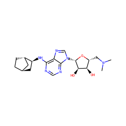 CN(C)C[C@H]1O[C@@H](n2cnc3c(N[C@H]4C[C@H]5CC[C@H]4C5)ncnc32)[C@H](O)[C@@H]1O ZINC000101462556