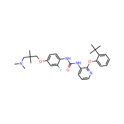 CN(C)CC(C)(C)COc1ccc(NC(=O)Nc2cccnc2Oc2ccccc2C(C)(C)C)c(F)c1 ZINC000096269943