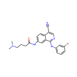 CN(C)CCCC(=O)Nc1ccc2c(C#N)cnc(Nc3cccc(Br)c3)c2c1 ZINC000066251674