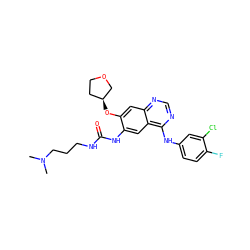 CN(C)CCCNC(=O)Nc1cc2c(Nc3ccc(F)c(Cl)c3)ncnc2cc1O[C@H]1CCOC1 ZINC000103253626