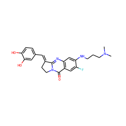 CN(C)CCCNc1cc2nc3n(c(=O)c2cc1F)CC/C3=C\c1ccc(O)c(O)c1 ZINC001772645983