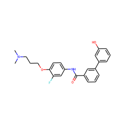 CN(C)CCCOc1ccc(NC(=O)c2cccc(-c3cccc(O)c3)c2)cc1F ZINC000299854689