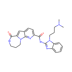 CN(C)CCCn1c(NC(=O)c2ccc3cc4n(c3n2)CCCNC4=O)nc2ccccc21 ZINC000147091378