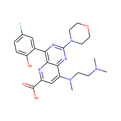CN(C)CCN(C)c1cc(C(=O)O)nc2c(-c3cc(F)ccc3O)nc(N3CCOCC3)nc12 ZINC000169698807