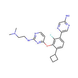 CN(C)CCNc1nccc(Oc2c(C3CCC3)ccc(-c3cnc(N)cn3)c2F)n1 ZINC000224549307