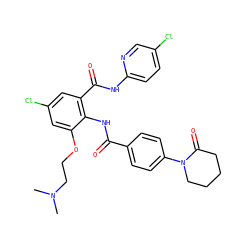 CN(C)CCOc1cc(Cl)cc(C(=O)Nc2ccc(Cl)cn2)c1NC(=O)c1ccc(N2CCCCC2=O)cc1 ZINC000029048276