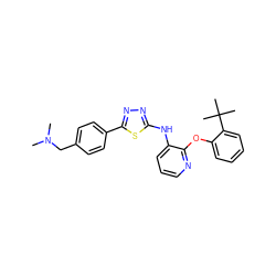 CN(C)Cc1ccc(-c2nnc(Nc3cccnc3Oc3ccccc3C(C)(C)C)s2)cc1 ZINC000096271715