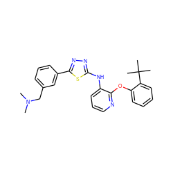 CN(C)Cc1cccc(-c2nnc(Nc3cccnc3Oc3ccccc3C(C)(C)C)s2)c1 ZINC000096271714