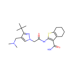 CN(C)Cc1cn(CC(=O)Nc2sc3c(c2C(N)=O)CCCC3)nc1C(C)(C)C ZINC000064539928