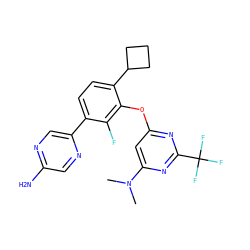 CN(C)c1cc(Oc2c(C3CCC3)ccc(-c3cnc(N)cn3)c2F)nc(C(F)(F)F)n1 ZINC000224571798