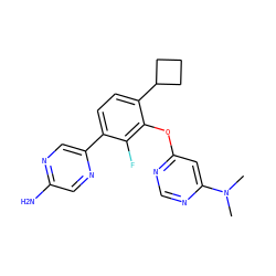 CN(C)c1cc(Oc2c(C3CCC3)ccc(-c3cnc(N)cn3)c2F)ncn1 ZINC000224558461