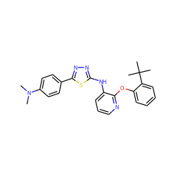 CN(C)c1ccc(-c2nnc(Nc3cccnc3Oc3ccccc3C(C)(C)C)s2)cc1 ZINC000096271717