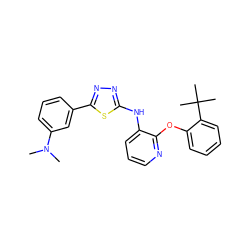 CN(C)c1cccc(-c2nnc(Nc3cccnc3Oc3ccccc3C(C)(C)C)s2)c1 ZINC000096271716