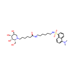 CN(C)c1cccc2c(S(=O)(=O)NCCCCCCNC(=O)CCCCCN3C[C@H](O)[C@@H](O)[C@@H](O)[C@H]3CO)cccc12 ZINC000073161173