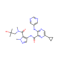 CN(CC(C)(C)O)C(=O)c1c(NC(=O)c2nc(C3CC3)cnc2Nc2cncnc2)cnn1C ZINC000148677807