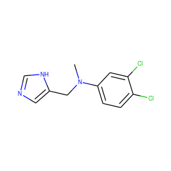 CN(Cc1cnc[nH]1)c1ccc(Cl)c(Cl)c1 ZINC000096177544
