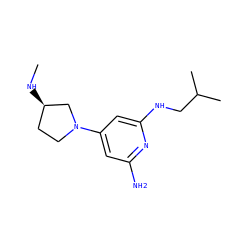 CN[C@@H]1CCN(c2cc(N)nc(NCC(C)C)c2)C1 ZINC000071331672