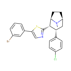 CN1[C@H]2CC[C@@H]1[C@@H](c1ncc(-c3cccc(Br)c3)s1)[C@@H](c1ccc(Cl)cc1)C2 ZINC000014978593